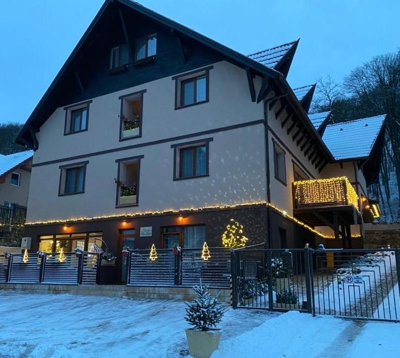Silvan Villa - Apart Sighişoara Exteriér fotografie