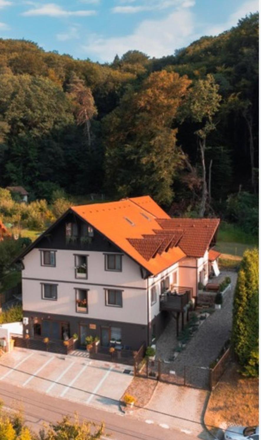 Silvan Villa - Apart Sighişoara Exteriér fotografie